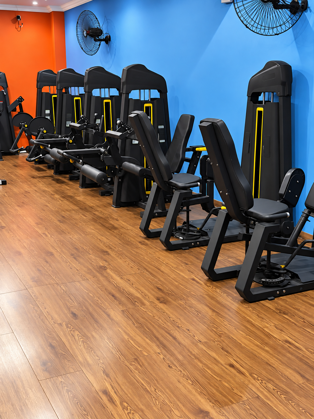 Espaço de musculação da Academia Lessa com equipamentos modernos e piso amadeirado